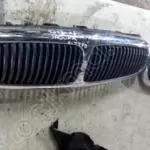 2002-2007 JAGUAR X TYPE ÖN PANJUR