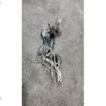 2002-2008 FORD TRANSİT CONNECT MOTOR TRAVERSİ