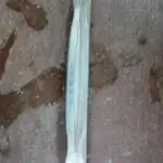 2002-2010 AUDİ A8 ÖN TAMPON DEMİRİ