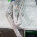 2006-2010 OPEL INSIGNIA SAĞ TAVAN AİRBAG