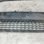 2008-2011 HYUNDAİ İ30 ÖN TAMPON ORTA IZGARASI