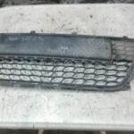 2008-2011 HYUNDAİ İ30 ÖN TAMPON ORTA IZGARASI