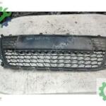 2008-2011 HYUNDAİ İ30 ÖN TAMPON ORTA İZGARASI