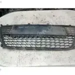 2008-2011 HYUNDAİ İ30 ÖN TAMPON ORTA İZGARASI