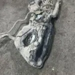 2008-2012 MERCEDES C180 204 KASA BENZİNLİ YAKIT DEPOSU