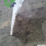 2010-2013 DACİA LOGAN ST WAGON ARKA TAMPON -DS OTOMOTİV-