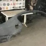 2012-2014 VOLKSWAGEN PASSAT SAĞ YAN DUVAR SACI