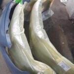 2014-2018 VOLVO S60 ÖN TAMPON SIFIR İTHAL