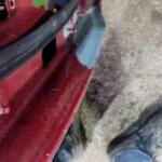 2015 2021 RENAULT KADJAR SAĞ ÖN KAPI