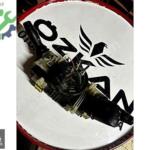 255679223R Renault Master 3 Direksiyon Far Sinyal Silecek Kolu