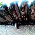 RENAULT 370 MOTOR YAĞ KARTERİ 5600832584