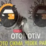 8200415818 Laguna 2 Gaz Pedalı Orjinal Çıkma