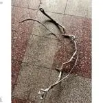 01 PEUGEOT 301 KLİMA BORUSU İKİLİ 96395480