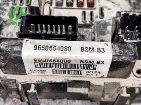 Citroen C2 Sigorta Kutusu 9650664080 çıkma parça