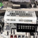 9650664080 BSM B3 PEUGEOT 206-207-307 Orijinal Sigorta Kutusu