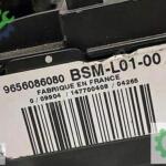 BSM-L01-00 Peugeot Citroen 9656086080 Sigorta kutu S118983001J