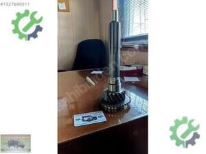 DOÇ 250 PRİZDREK ŞANZIMAN