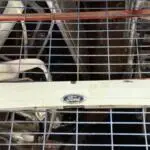 FORD FİESTA BAGAJ KAPAĞI TUTAMAĞI 8a61-a43404-b