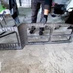 FORD CARGO 1846 TORPIDO GOZU KOMPLE-UST KONSOL SET