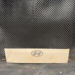 HYUNDAİ H100 MOTOR KAPUT
