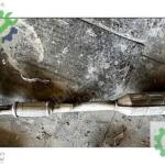 Hyundai Accent Ön Eksoz Sprali Borusu Yumurta Kasa 28610-22180