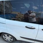 FORD CURİER TÜM KAPILAR MEVCUTTUR BOYASIZ