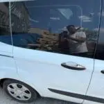 FORD CURİER TÜM KAPILAR MEVCUTTUR BOYASIZ