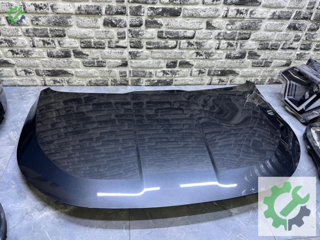Kia Niro Kaput çıkma parça