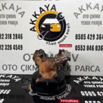 HYUNDAİ EXCEL Çıkma Egzoz Manifoldu