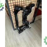 MERCEDES W211 W219 MOTOR TRAVERSİ SÖKME ORJİNAL A211601003