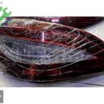 Mercedes CLS W218 Sol Stop ORGİNAL HATASIZ A2189067700Q01