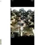 Nissan Bd30 Krank Orjinal Standart
