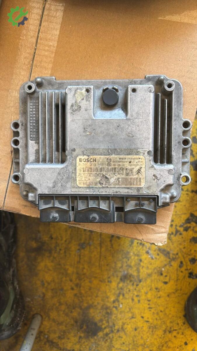 Peugeot 207 Motor Beyni çıkma parça