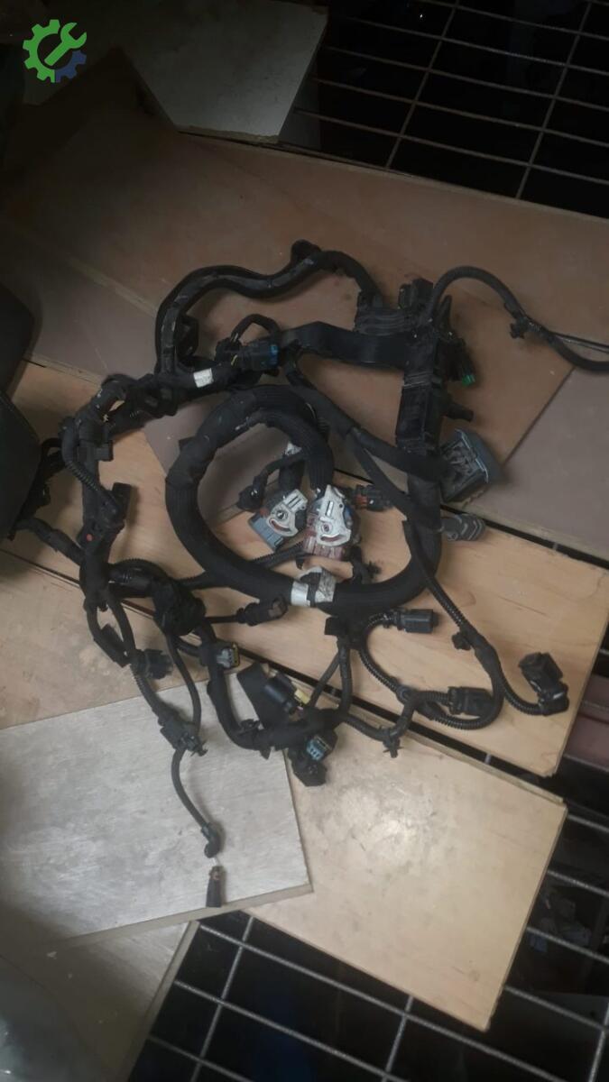 Peugeot 301 Motor Tesisatı çıkma parça
