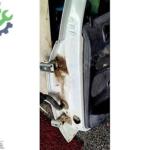 PEUGEOT 206 BH SAĞ ARKA KAPI BEYAZ ORJİNAL