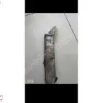 RENAULT CLİO SYMBOL ÖN PANJUR ÇITASI ORİJİNAL MAİS 620729869R