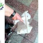 RENAULT LATİTUDE CAM FISKİYE DOPUSU ORJİNAL SIFIR