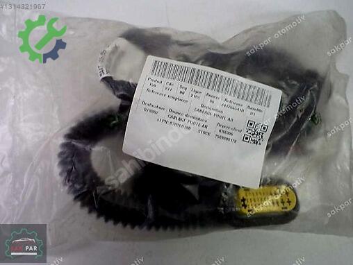 Renault Clio Arka Kapı 241266541R çıkma parça