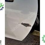 Renault kilyo 4 sağ ön kapı