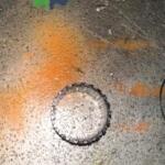 ALMERA QG15 ŞANZIMAN 5 VİTES TAKIMI