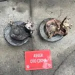 Opel Astra j arka sağ sol taşıycı