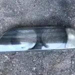 Bmw 5 Seri E39 Far Camı Sol 1996-2003