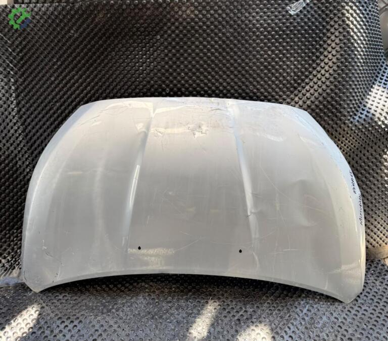 Mitsubishi Kaput çıkma parça