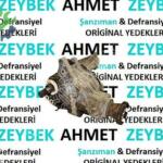 CHEVROLET CAPTİVA ÇIKMA YAVRU ŞANZIMAN