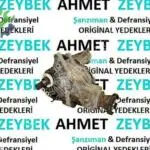 CHEVROLET CAPTİVA ÇIKMA YAVRU ŞANZIMAN