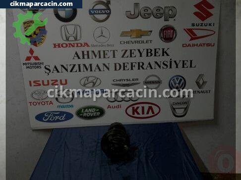 Daihatsu Terios Arka Defransiyel çıkma parça
