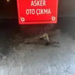Fiat Ducato Şanzıman Komple çıkma parça - Asker oto çıkma orijinal yedek parçaları Ankara