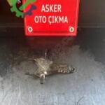 Fiat Ducato Şanzıman Komple Çıkma Parça Ankara