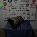 Ford Cargo Şanzıman Komple Çıkma Parça Sakarya