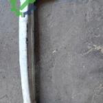 HUNDAİ H 100 ARKA TANPON